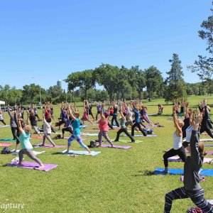 Workshops & Classes