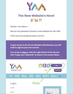 New Website Email